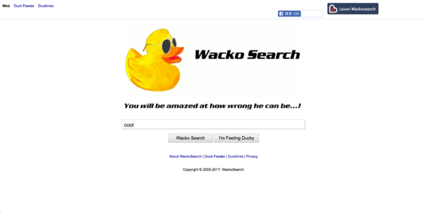 Wacko Search公司将搜索引擎置于领先地位